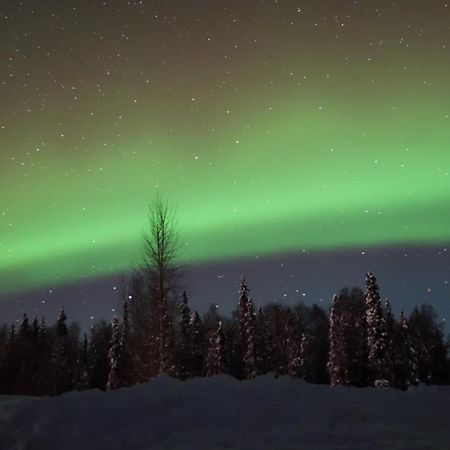 Susitna River Lodging, Backwoods Cabins Talkeetna Exterior foto