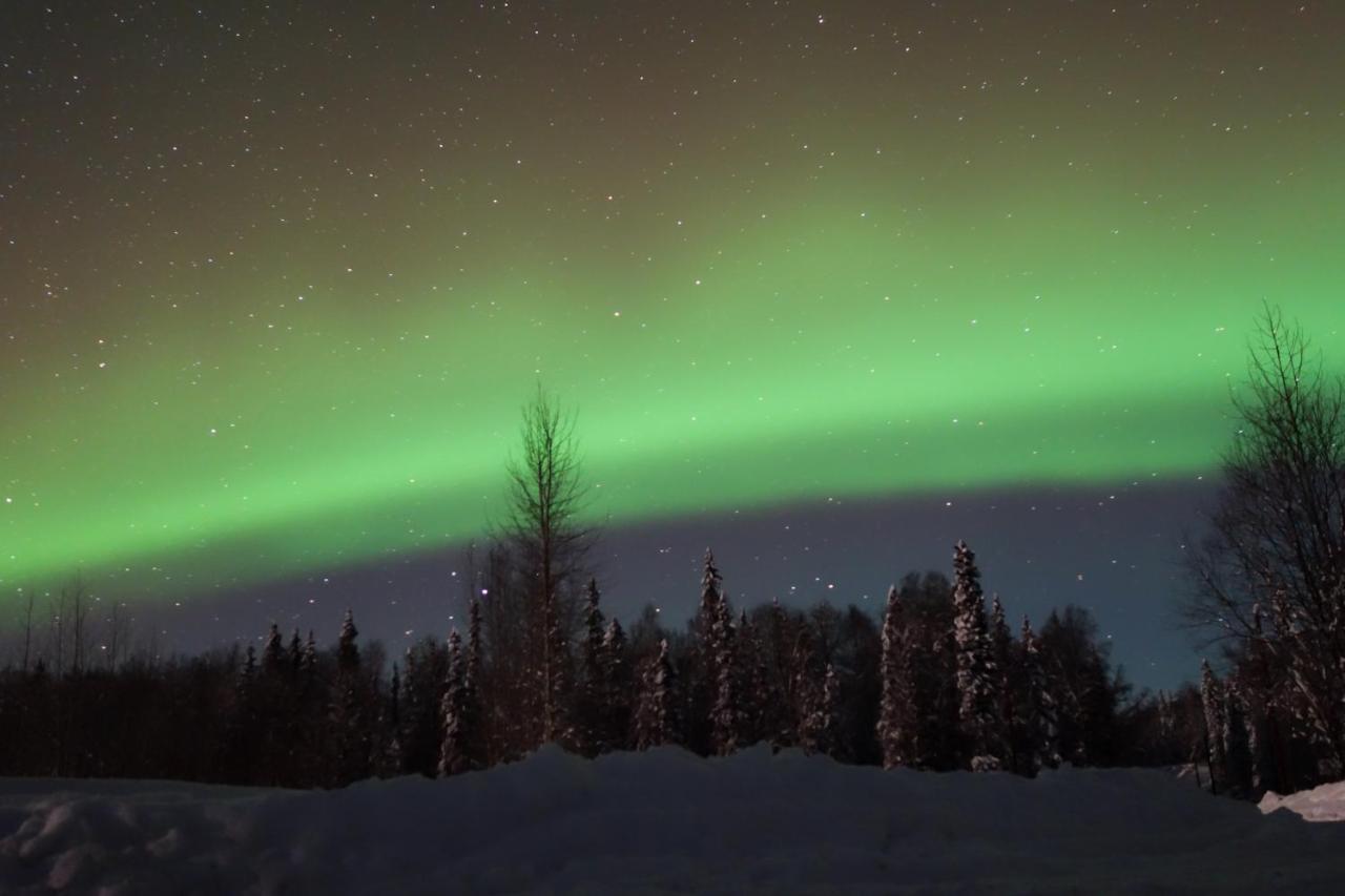 Susitna River Lodging, Backwoods Cabins Talkeetna Exterior foto